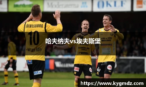 哈夫纳夫vs埃夫斯堡