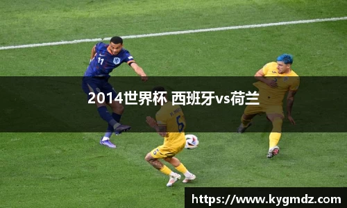 2014世界杯 西班牙vs荷兰